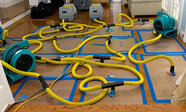 Professional Sewage Cleanup technician working in Dos Palos, CA